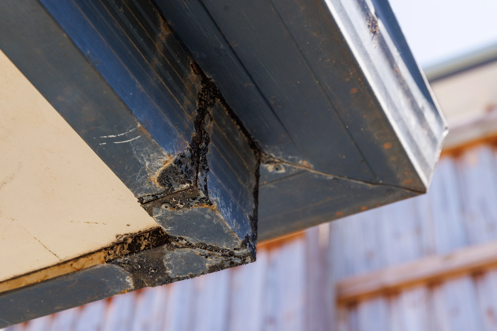 Dry Rot damage caused by water overflowing from clogged gutters