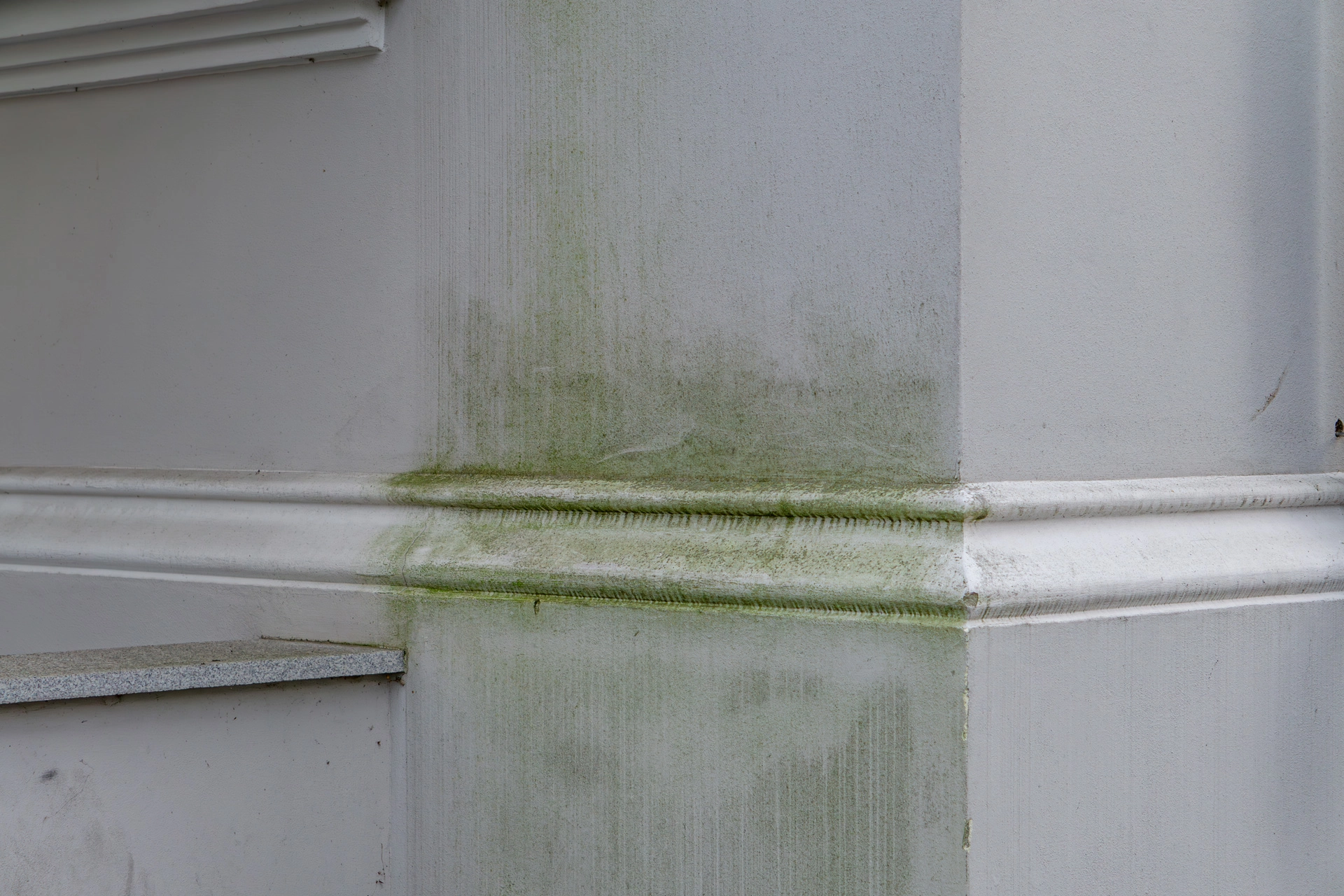 Mold, Mildew & water stain damage caused by water overflowing from clogged gutters